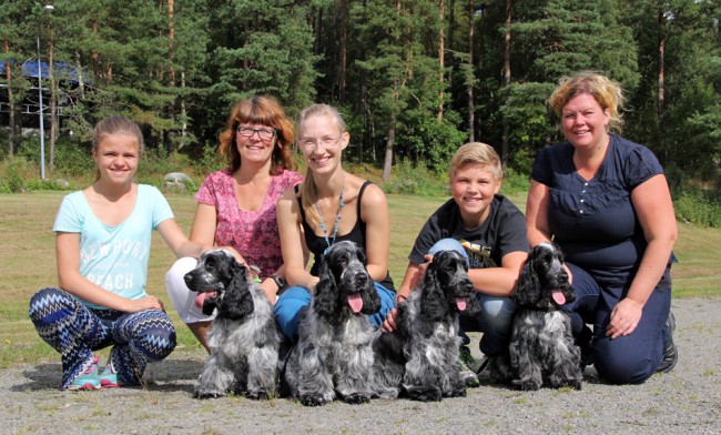 Valputställning i Bohus