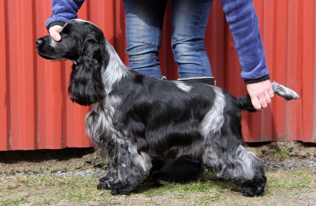 Sixten 1 år & A höfter