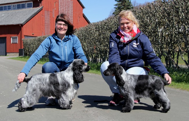 Utställning i Tjolöholm